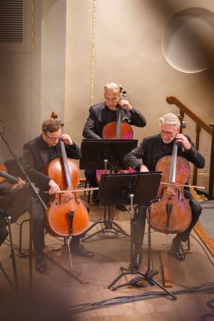 Festivalio „Pokrovo varpai“ WORLD MUSIC projektai